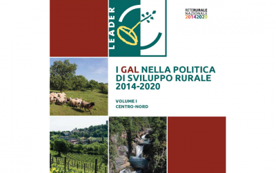 I GAL nella politica di sviluppo rurale 2014-2020