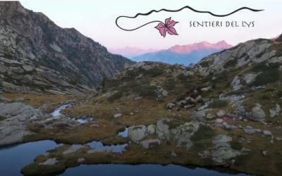 Sentieri del Lys