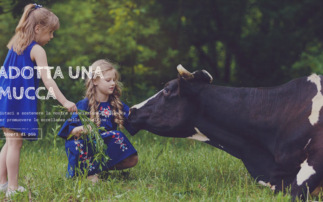 Adotta una mucca