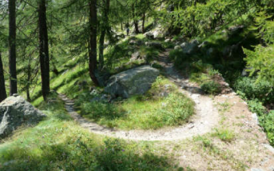 Blavy mountain bike trails area