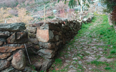 Riqualificazione sentieristica nei Comuni di Perloz e Pont-Saint-Martin