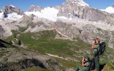 Promozione dell’immagine del Parco Nazionale del Gran Paradiso