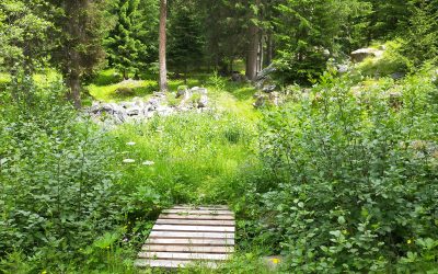 Itinerario escursionistico “Valsavarenche, la nature à pied”