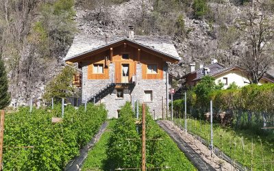 Le Camere di Naturalys