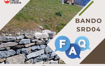FAQ per il bando SRD04