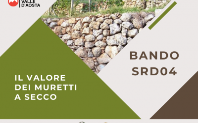 Pubblicato il nuovo bando SRD04 per il ripristino di muretti a secco